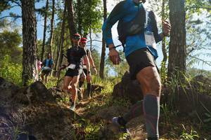 BIB: 
                            <button type="button" onclick="openModal(18915763)" class="btn btn-primary btn-sm float-right btn-popup" data-toggle="modal" data-target=".modal-high-quality">
                        <i class="fas fa-shopping-cart"></i> Add to Cart
                    </button>
                                            <button type="button" onclick="isThisMe(18915763, true)" class="btn btn-success btn-sm float-right btn-popup btn-isme hidden" data-toggle="tooltip" data-placement="bottom" title="นี่คือรูปของคุณใช่ไหม คลิกที่นี่เพื่อเอาเข้าอัลบั้ม">
                        <i class="fas fa-plus"></i> Add to album
                    </button>
                    <button type="button" onclick="isThisMe(18915763, false)" class="btn btn-warning btn-sm float-right btn-popup btn-isnotme hidden">
                        <i class="fas fa-ban"></i> Remove from album
                    </button>